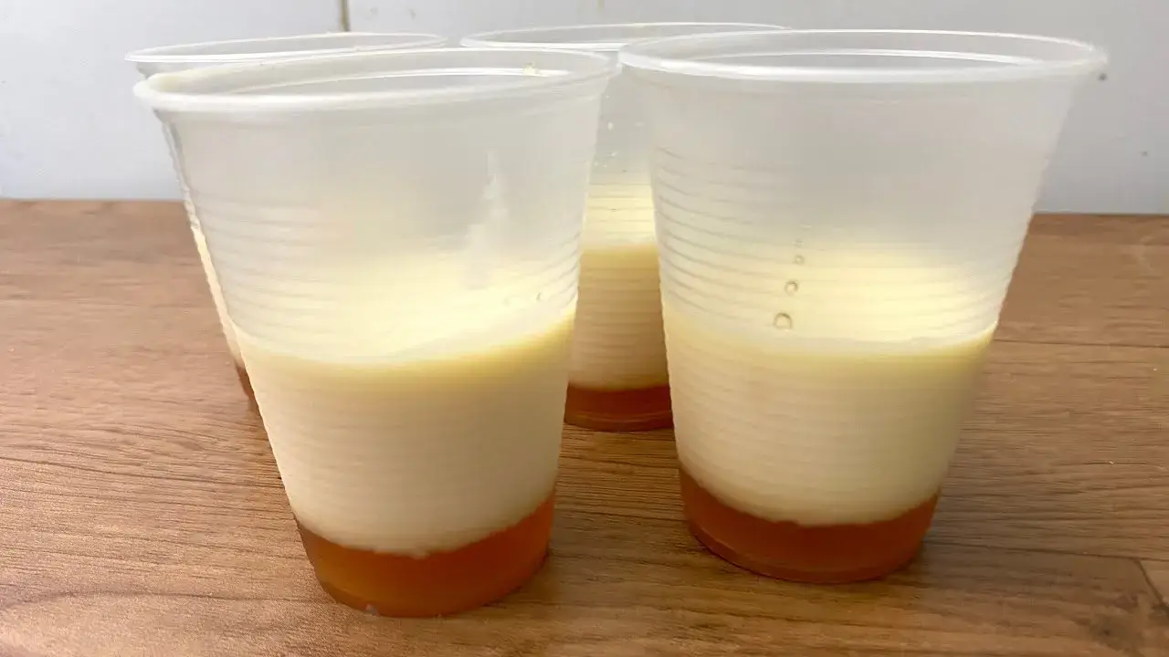 Pudim no Copo Descartável: Receita Fácil e Rápida Sem Forno
