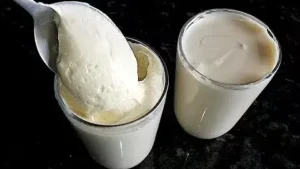 Requeijão Cremoso Caseiro com Poucos Ingredientes e Textura Muito Cremosa